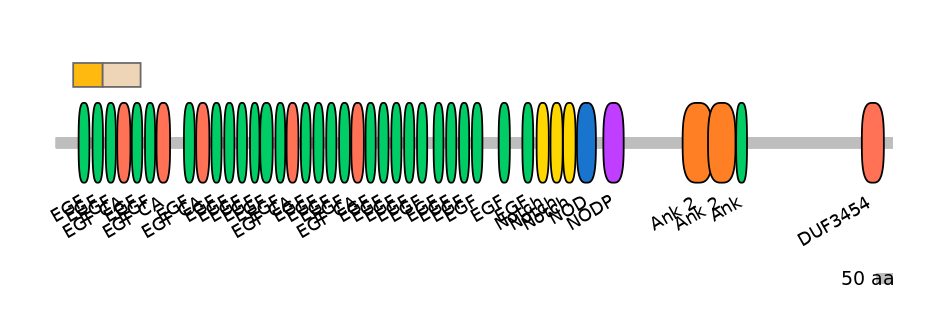 HsaINT0114862-EXC