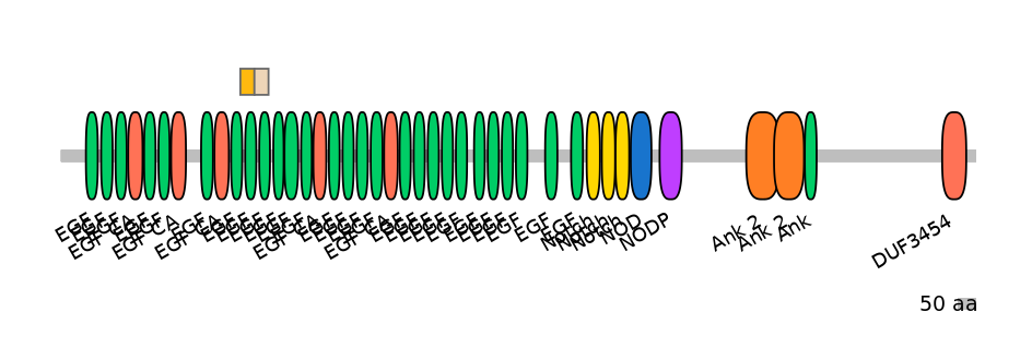HsaINT0114872-EXC
