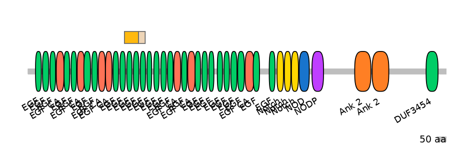 HsaINT0114879-EXC