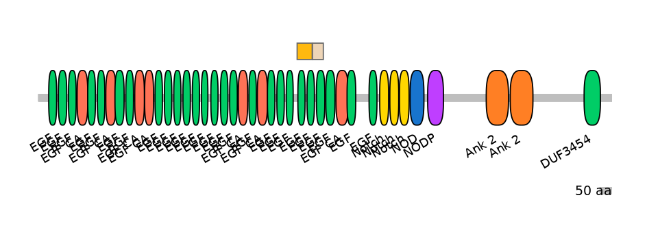HsaINT0114889-EXC
