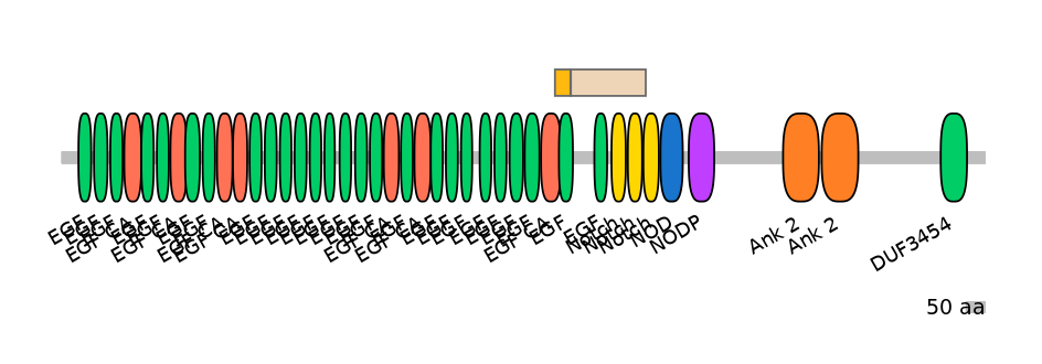 HsaINT0114892-EXC