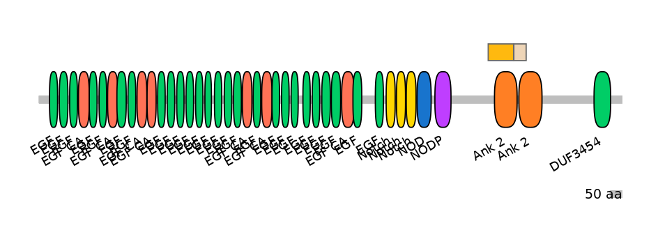 HsaINT0114900-EXC