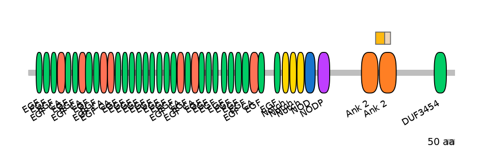 HsaINT0114901-EXC