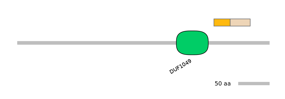 HsaINT0115142-EXC