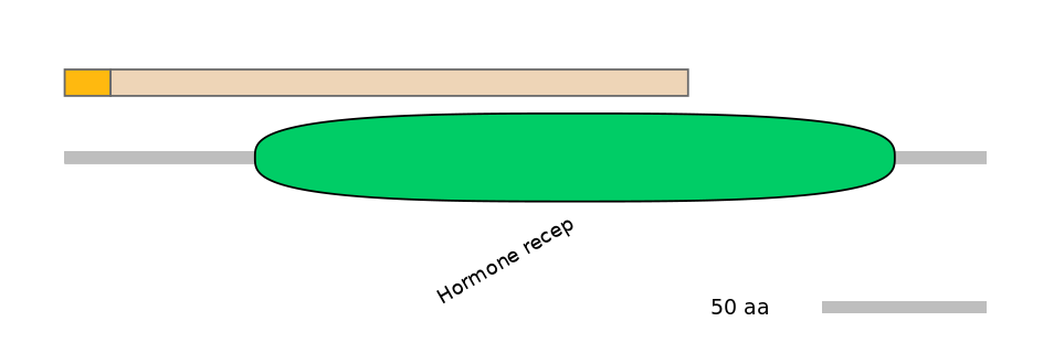 HsaINT0115619-EXC