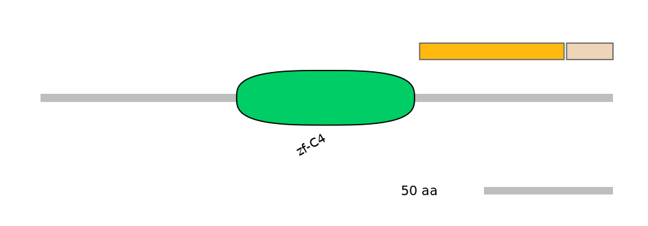 HsaINT0115621-EXC