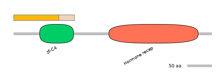 HsaINT0115623-EXC