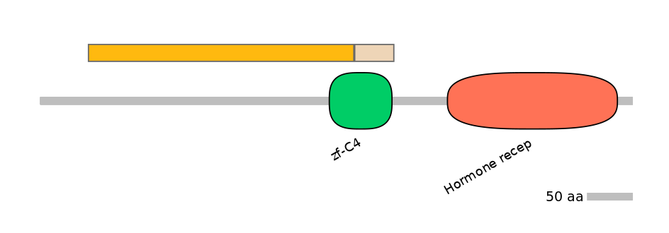 HsaINT0115648-EXC
