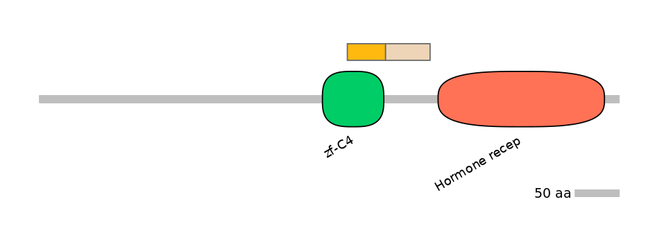 HsaINT0115649-EXC