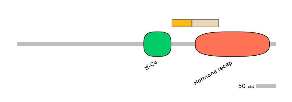 HsaINT0115650-EXC