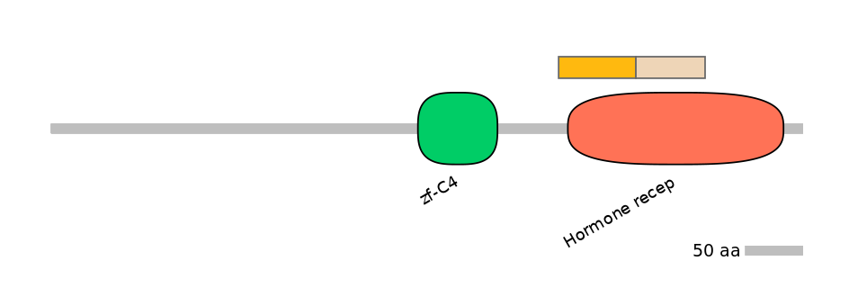 HsaINT0115651-EXC