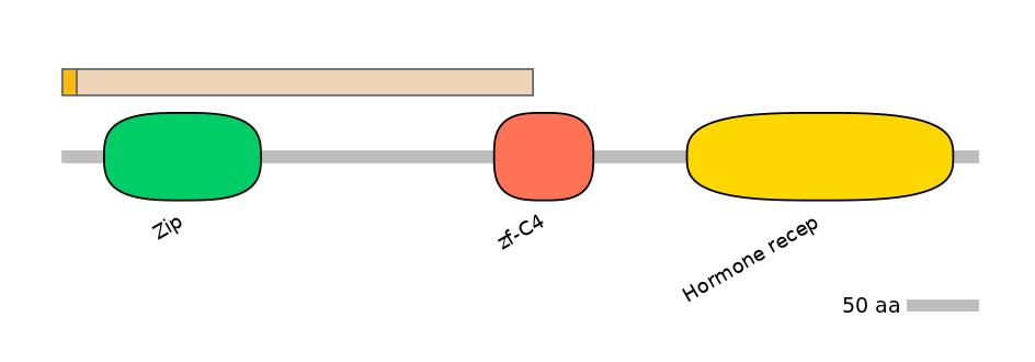 HsaINT0115662-EXC