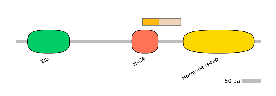 HsaINT0115664-EXC
