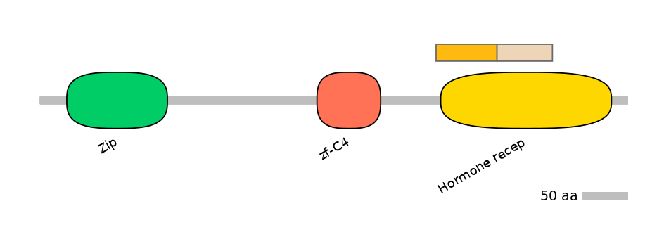 HsaINT0115665-EXC