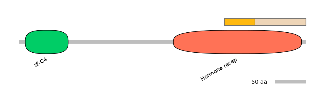 HsaINT0115672-EXC