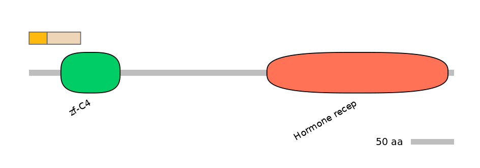 HsaINT0115673-EXC