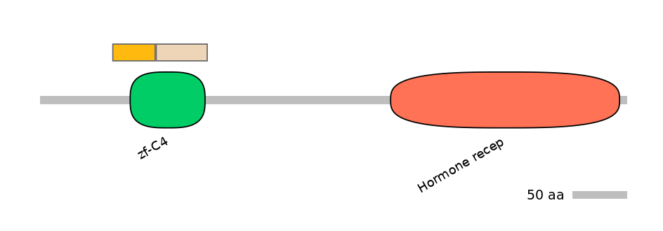 HsaINT0115674-EXC