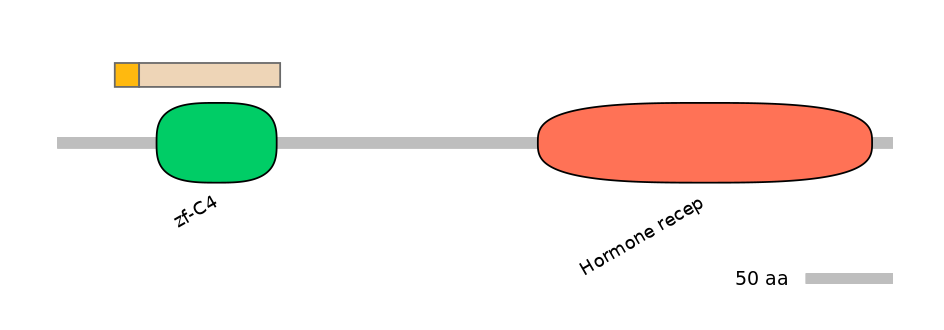 HsaINT0115682-EXC
