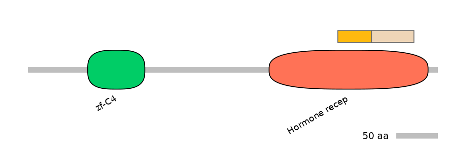 HsaINT0115686-EXC