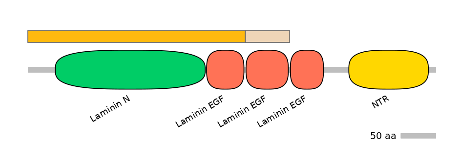 HsaINT0116386-EXC