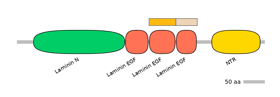 HsaINT0116387-EXC