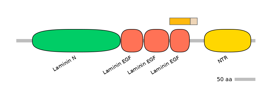 HsaINT0116388-EXC