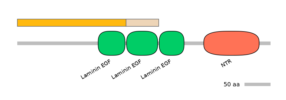 HsaINT0116401-EXC