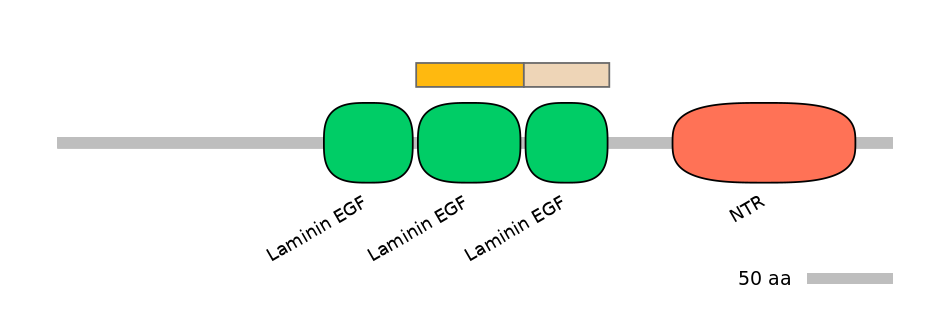 HsaINT0116402-EXC