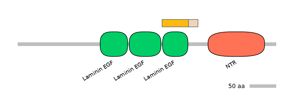HsaINT0116403-EXC