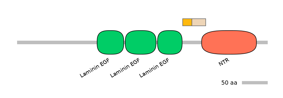 HsaINT0116404-EXC