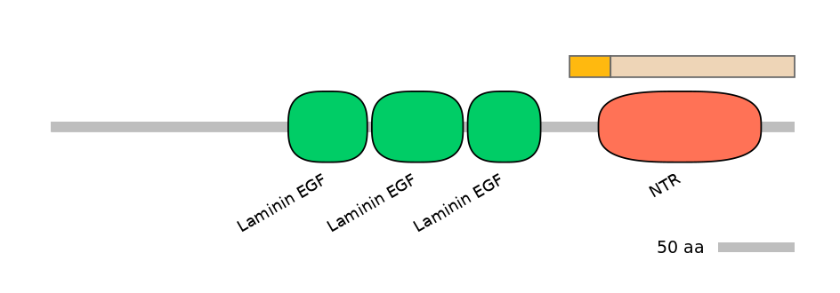 HsaINT0116405-EXC