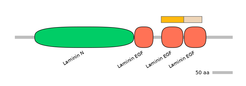 HsaINT0116410-EXC