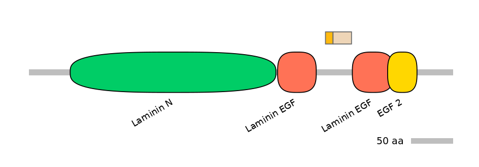 HsaINT0116412-EXC