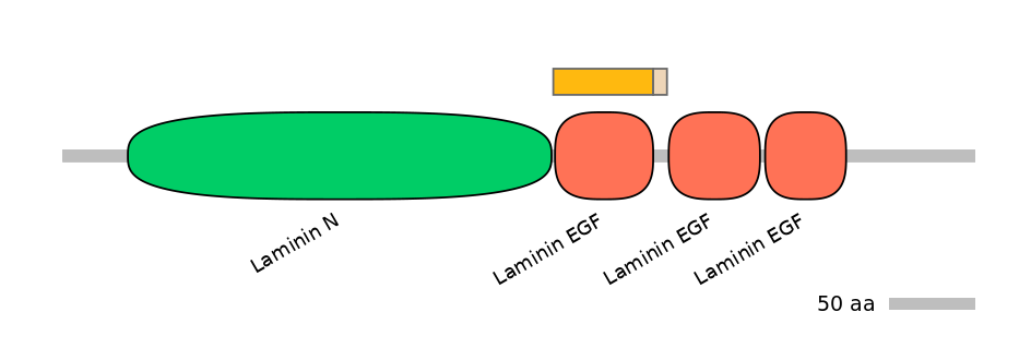 HsaINT0116419-EXC