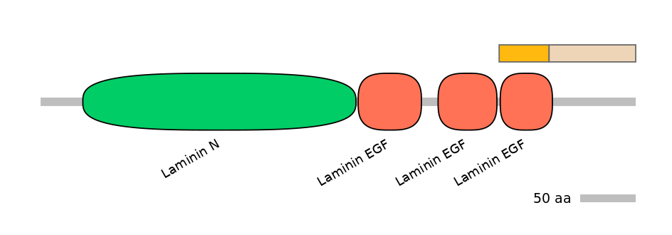HsaINT0116422-EXC
