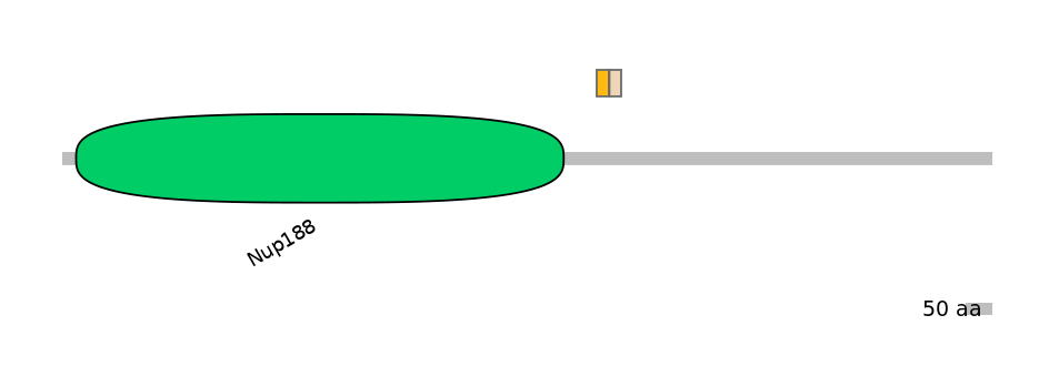 HsaINT0116930-EXC