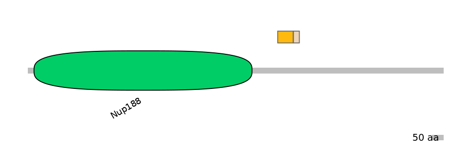 HsaINT0116933-EXC