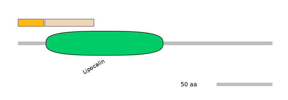 HsaINT0117557-EXC