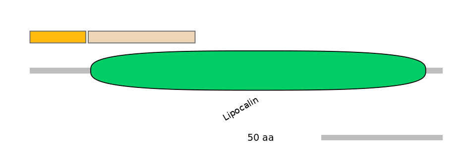 HsaINT0117561-EXC