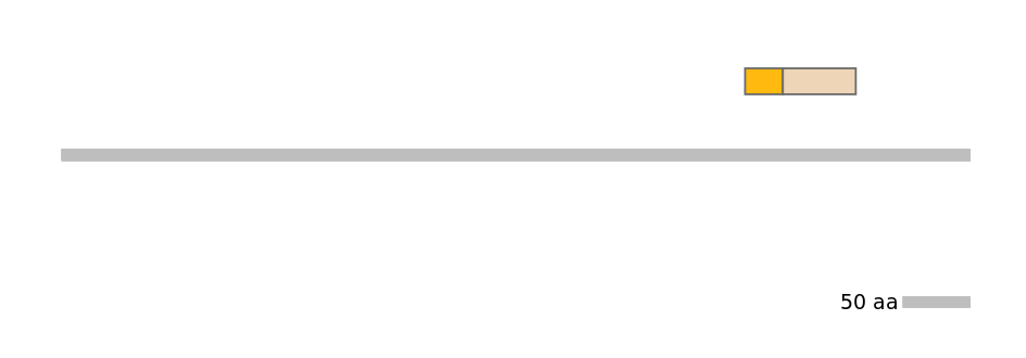 HsaINT0117839-EXC
