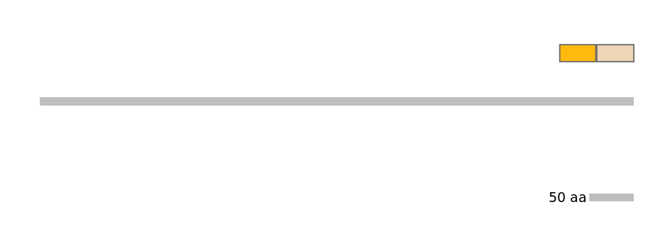 HsaINT0117841-EXC