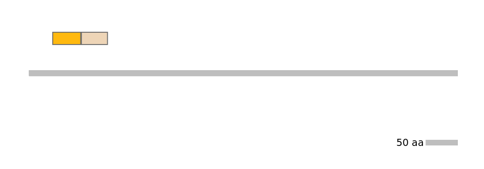 HsaINT0117842-EXC