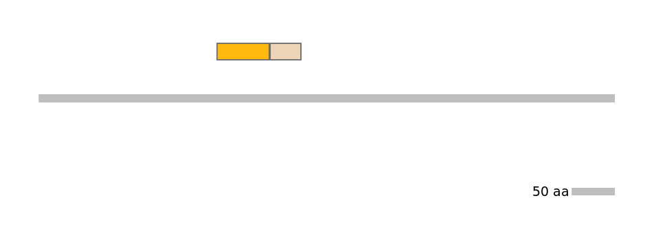 HsaINT0117847-EXC