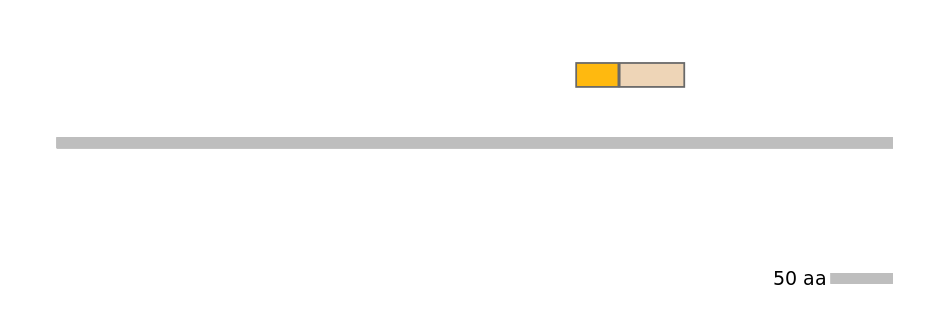 HsaINT0117849-EXC