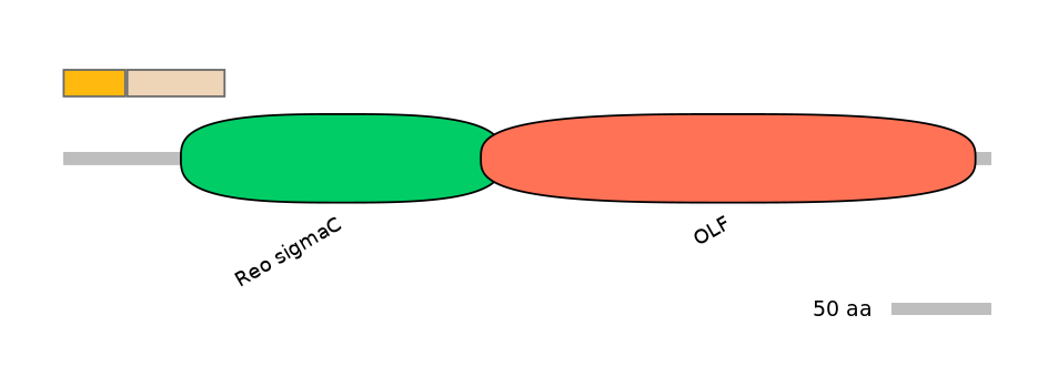 HsaINT0118154-EXC
