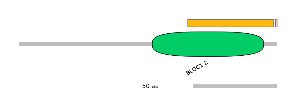 HsaINT0118156-EXC