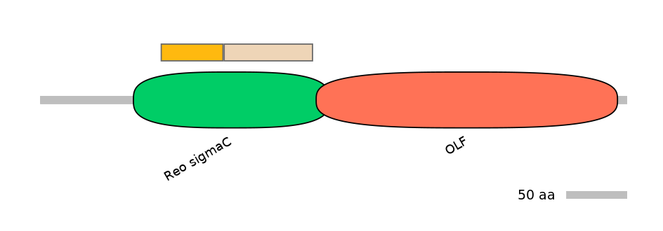 HsaINT0118157-EXC