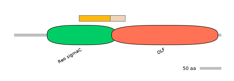 HsaINT0118158-EXC
