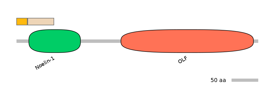 HsaINT0118160-EXC