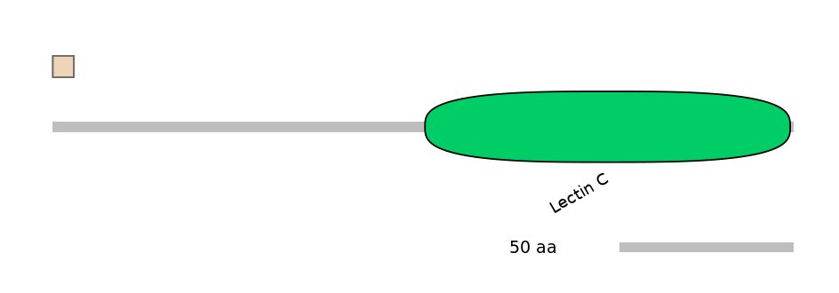HsaINT0118195-INC